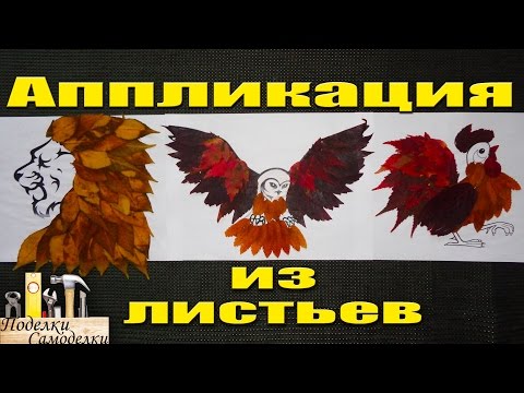 Аппликация из листьев! Животный мир!