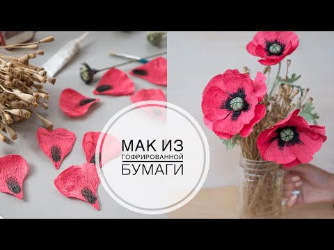 Mack of paper / Мак из гофрированной бумаги / DIY Tsvoric