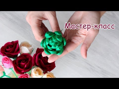 Мастер-класс Суккулент из гофрированной бумаги