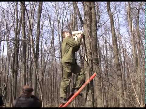 Василий Аксёнов Пламя, или Посещение одиннадцатое