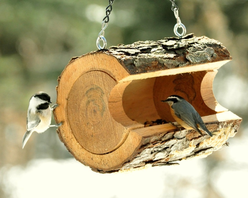 Кормушка для птиц своими руками из дерева - Домик