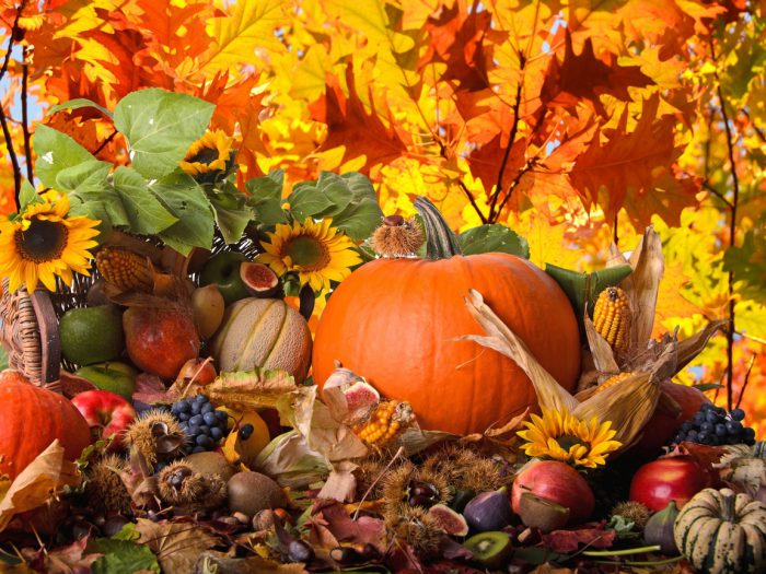 Скачать онлайн осенние поделки своими руками. Поделки на выставку на тему Осень”: дерево в банке. Осенние поделки для сада из природных материалов. Мастерим из тыквы