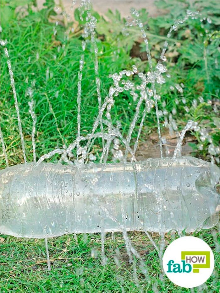 Разбрызгиватель воды из пластиковой бутылки