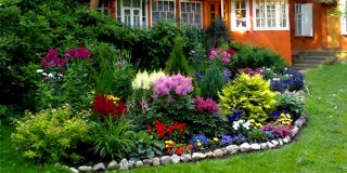 Идеи для цветника на даче